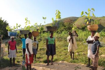 [HAÏTI] Distribution de plantules en faveur de familles d'agriculteurs