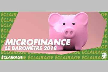 [ÉCLAIRAGE] Baromètre 2018 de la microfinance : quelles rentabilités ?