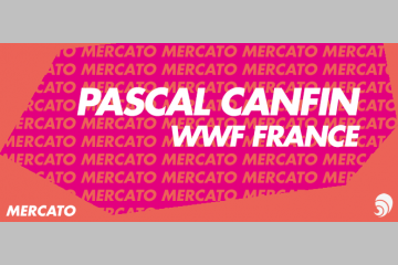 [MERCATO] Pascal Canfin quitte son poste de directeur général du WWF France