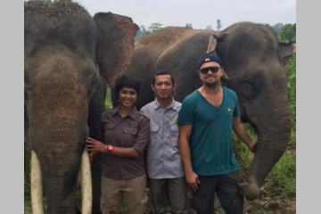 [MERCREDI EN IMAGES] Leonardo DiCaprio à la rescousse des animaux en Indonésie