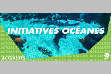 Environnement : Les Initiatives Océanes au secours des fonds marins