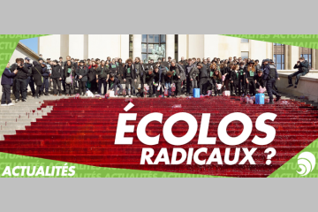 Les mouvements écolos en France : sont-ils radicaux ?