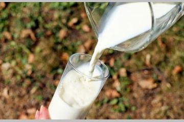La France s’engage pour des producteurs laitiers innovants