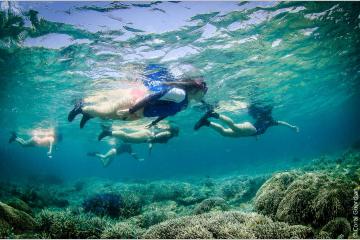 Partez en mission d'Eco-Volontariat avec Coral Guardian