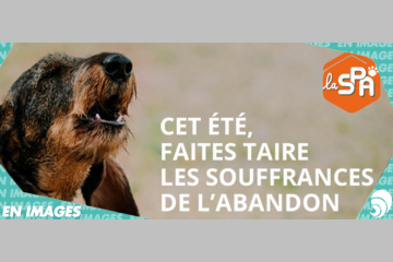 [EN IMAGES]  Campagne de la SPA contre l'abandon des animaux avant les vacances