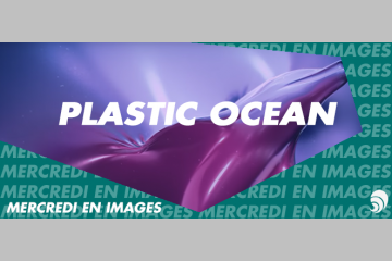 [EN IMAGE] Sea Shepherd et Fred & Farid font équipe contre le plastique
