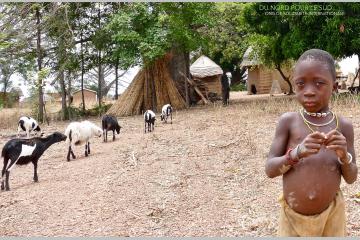 Campagne Cotisations et dons 2018-2019