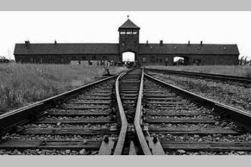 Fondation Auschwitz-Birkenau : L'horreur, à jamais gravée dans nos mémoires