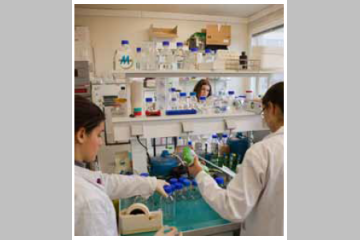 "Le cancer repéré dans le sang", article tiré du Journal de l'Institut Curie n°92, page 4