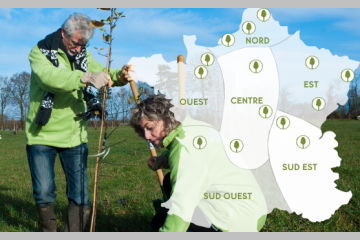 Le Fondation Yves Rocher plante des arbres