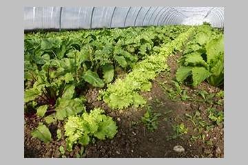 TERRACOOPA : LAURÉATE DES GRANDS PRIX DE LA FINANCE SOLIDAIRE ! (34-HÉRAULT)