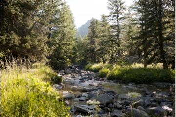 Mécénat : GMF participe activement à la protection des parcs nationaux