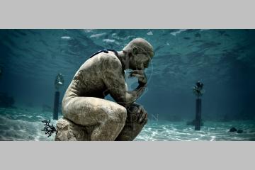 Tribute to the ocean - Coral Guardian