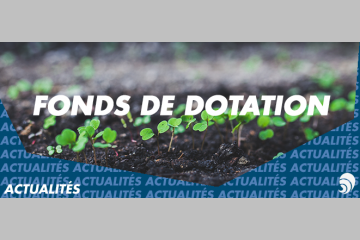 Les fonds de dotation ont toujours la cote