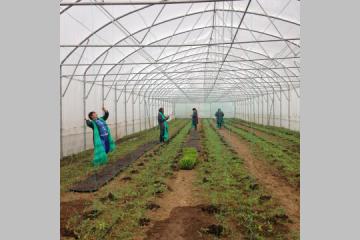 La Fondation Carrefour soutient l'agriculture urbaine