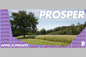 [AÀP] Le Club PROSPER mobilise les acteurs de la transition agricole