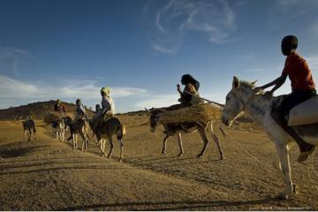 Les migrants climatiques