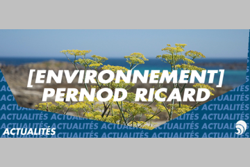 [ENVIRONNEMENT] Pernod Ricard, la tradition écolo  