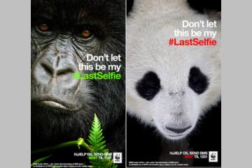 SnapChat au secours des animaux