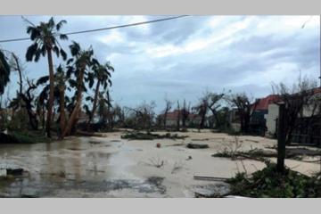 Ouragan Irma, la Fondation Carrefour déclenche une aide d’urgence