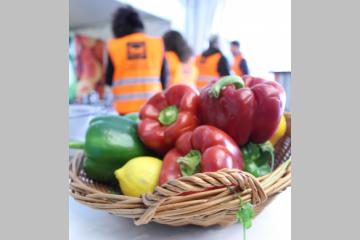 Rapport Garot : les Banques Alimentaires satisfaites,  mais appellent au passage