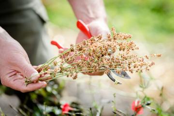 Crédit Agricole : un engagement pour préserver le patrimoine naturel en France