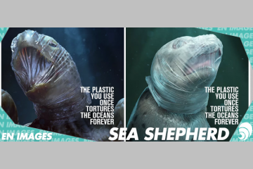 [EN IMAGES] La campagne choc de Sea Shepherd sur le plastique en mer