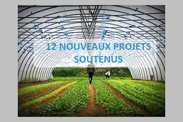 LA FONDATION RTE SOUTIENT 12 NOUVEAUX PROJETS !