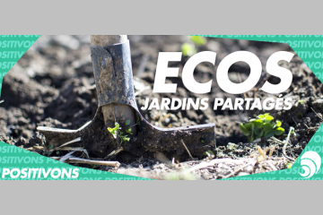[POSITIVONS] Des jardins partagés pour stimuler l’entraide intergénérationnelle