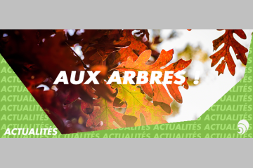 La Fondation Maisons du Monde lance "Aux Arbres!" les 8 et 9 juin 2018 à Nantes