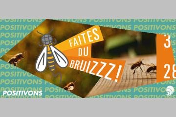 [POSITIVONS] Faites du bruizzz, une campagne pour protéger les abeilles