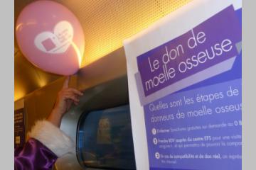 Les Dons de Vie au programme d'un MOOC 