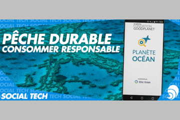 [SOCIAL TECH] Une appli pour une consommation responsable des produits de la mer