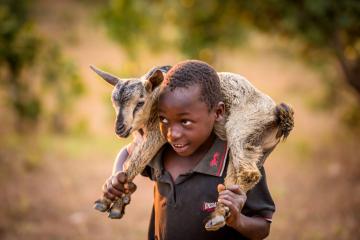 A Noël, les cadeaux solidaires changent la vie des enfants vulnérables