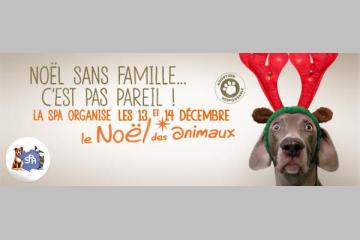 A Paris, la SPA organise un marché de Noël... de chiens