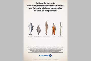 RTL décrypte les publicités d’Auchan, Leclerc et les autres 