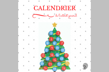 [CALENDRIER DE L'AVENT SOLIDAIRE] Guillaume Brault, CarenewsGroup