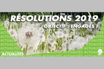 Pour 2019, des résolutions engagées !