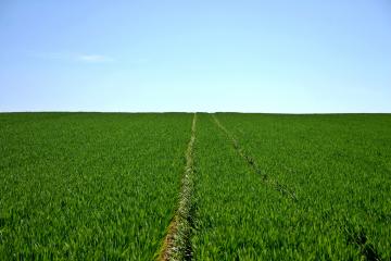 Fondation Crédit Agricole Nord de France : onze projets sélectionnés