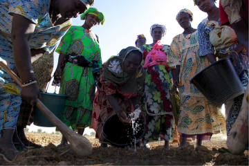 [D'AILLEURS] Les entrepreneuses du désert : transformer le Sahel en jardin.  