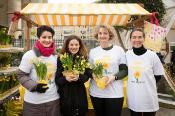 Truffaut et sa fondation partenaires d'Une jonquille pour Curie contre le cancer