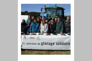 Le glanage par Horizons Solidaires