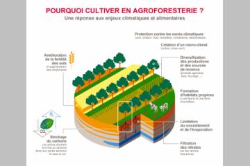 Promouvoir une agriculture durable au bénéfice de la planète 