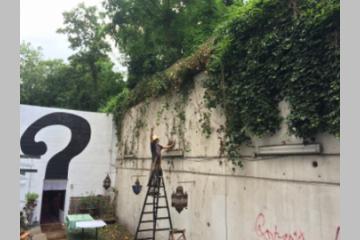 Jardin Potager Vertical sous le soleil de Paris