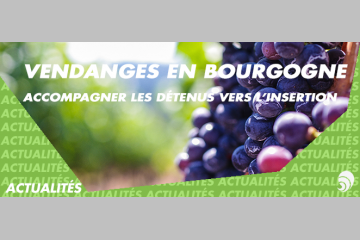 Réinsertion : un centre pénitentiaire fait participer des détenus aux vendanges