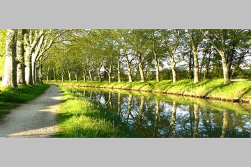 Canal du Midi : Déjà 530 000 euros collectés 