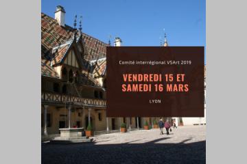 Comité interrégional 2019 des associations autonomes et antennes VSArt à Lyon.