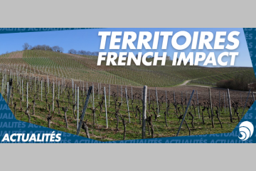 French Impact annonce les 20 premiers territoires labellisés