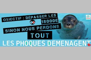[MERCREDI EN IMAGES] Objectif atteint pour Picardie Nature et les phoques!