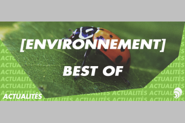 [BEST-OF] [ENVIRONNEMENT] Les initiatives éco-responsables
